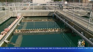 Weekend Power Shutoffs Lead To Water Shortage In Vallejo Water Emergency Declared In Vallejo