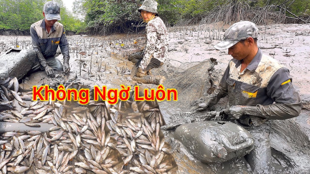 Chấn Động Dưới Con Rạch Cá Tôm Không Ngờ Tới