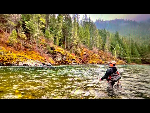 Like Nowhere Else - Idaho's Freestone Rivers (Featured on Orvis Friday Fly Fishing Film Festival)
