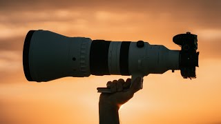 The Sigma 300-600Mm F4 - When The Gods Create A Lens...