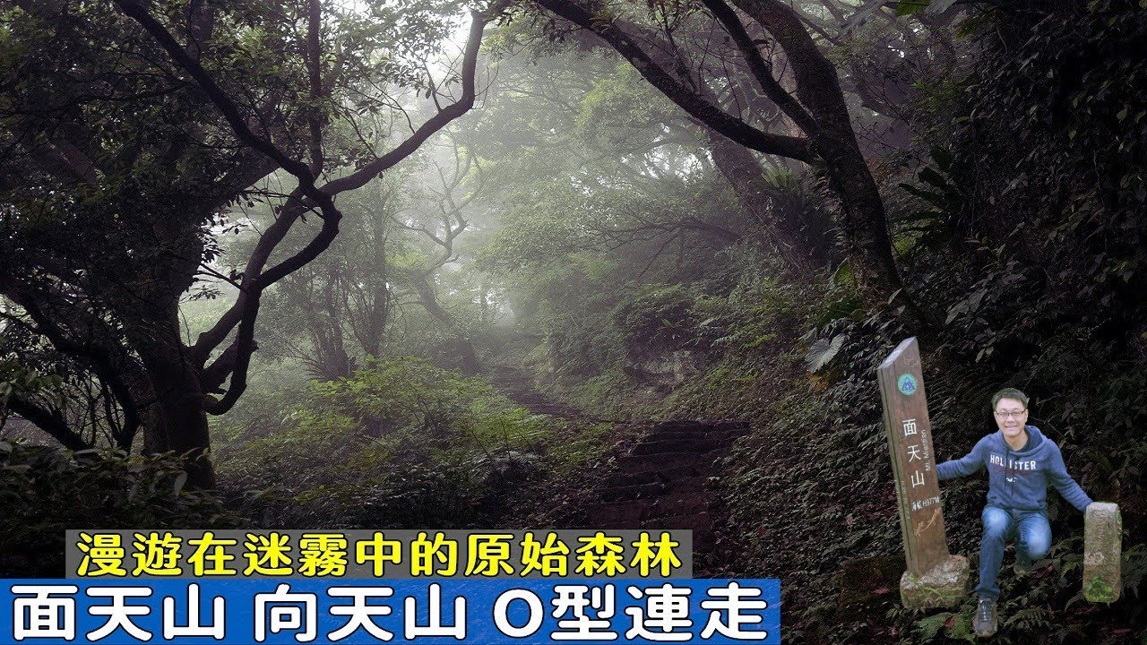 體驗台北大縱走面天山段！從清天宮步道上面天山、向天山O型原路折返，漫遊在迷霧中的陽明山原始森林