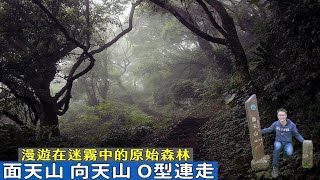 體驗台北大縱走面天山段！從清天宮步道上面天山、向天山O型 ... 