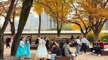 가을의 끝자락, 경복궁 주말 풍경 워킹투어