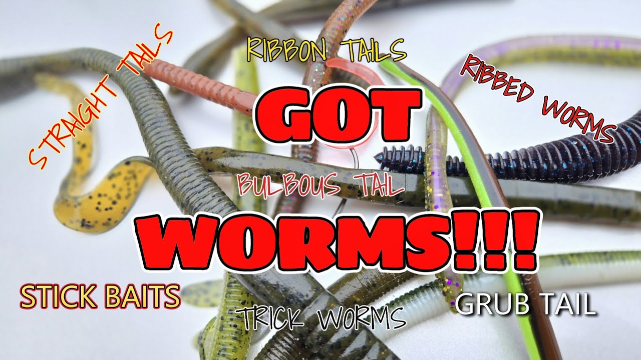 WORMS: An Unsung Staple to Bass Fishing PT.1