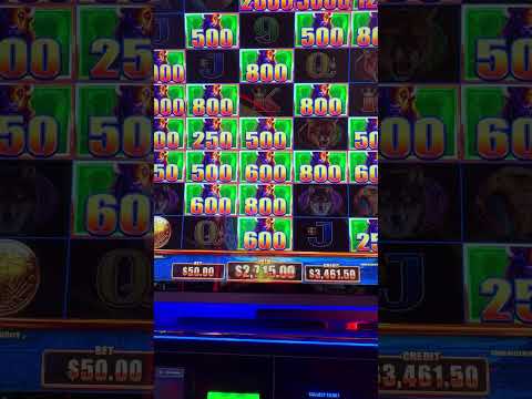 Gold Buffalo UNLOCKED on the Mega Stampede! #slots #casino #vegas