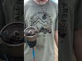 MAGNET FISHING AND CLEANING THE WATERWAYS #magnetfishing #shortsfeed #fishing