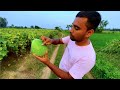 গ্রামীণ শাকসবজি দিয়ে ঠাকুমার হাতের রান্না | Village Organic Farm Fresh Sobji Prepared by Grandmother