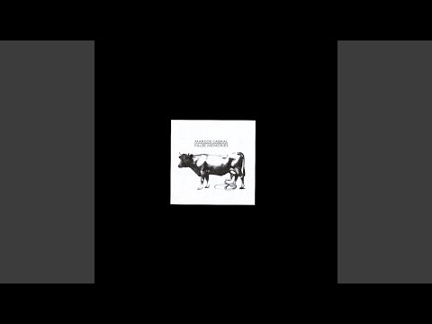 Marcos Cabral — Music for Diving