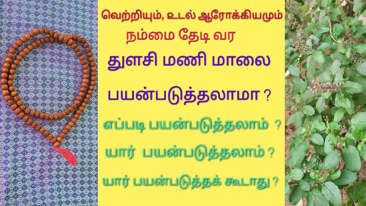 Benefits of wearing tulsi mala in tamil / துளசி மாலை பயன்கள் / Rules of