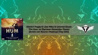 Dimitri Vegas & Like Mike & Ummed Ozcan The Hum vs Alexander Popov Olympus (Armin van Buuren Mashup)