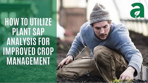 How to Utilize Plant SAP Analysis for Improved Crop Management