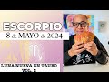 ESCORPIO | Horóscopo de hoy 8 de Mayo 2024 | No aceptarás una vida mediocre escorpio