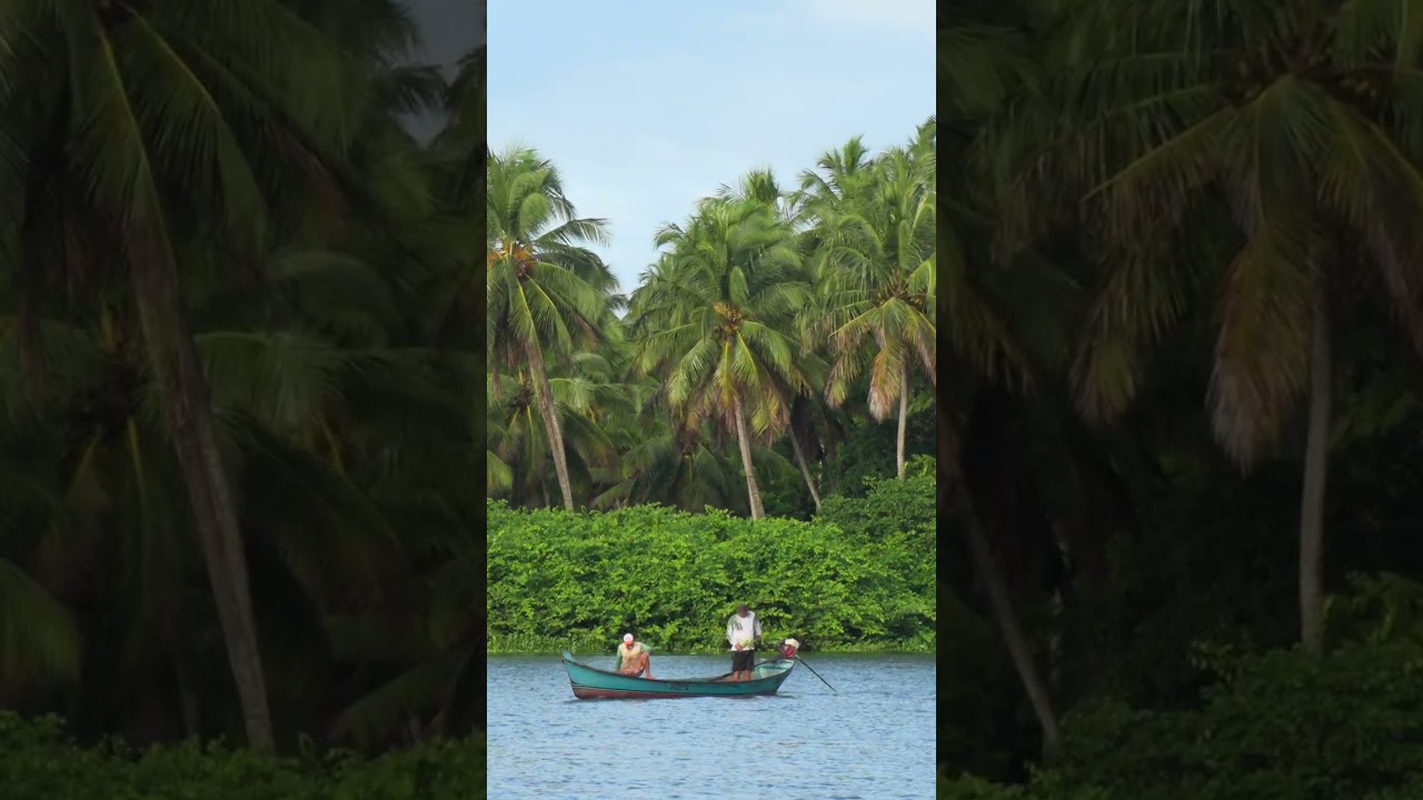⁣A cultura náutica que sobrevive no Velho Chico