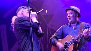 Carry me - The Levellers@Fonnefeesten 03-08-2019