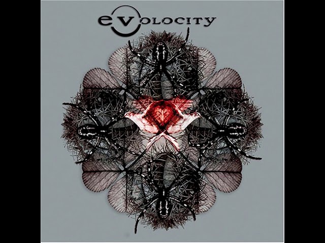 Evolocity - Quick & Easy