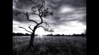 Massive Attack - Superpredators (jackal remix)