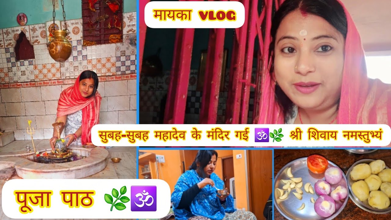 सुबह-सुबह महादेव के मंदिर गई 🕉🌿 श्री शिवाय नमस्तुभ्यं🕉🌿 