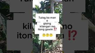 Logic / Ano kaya ito βοΈπ€ #logic #question #challenge #answer #palaisipan #riddle #foryou #viral Logic / Ano kaya ito βοΈπ€ #logic #question #challenge #answer #palaisipan #riddle #foryou #viral