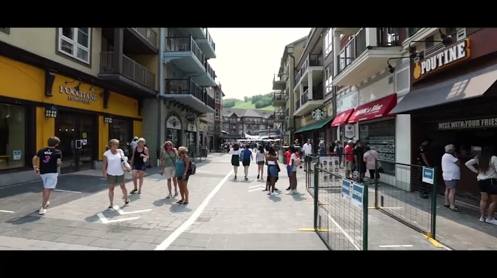 Welcome to your South Georgian Bay Campus community