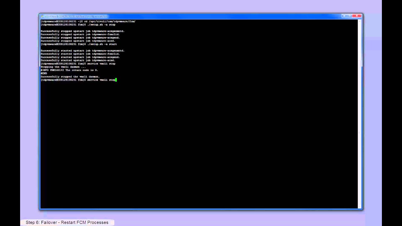 IBM Tivoli Storage FlashCopy Manager for VMware Remote Mirroring with