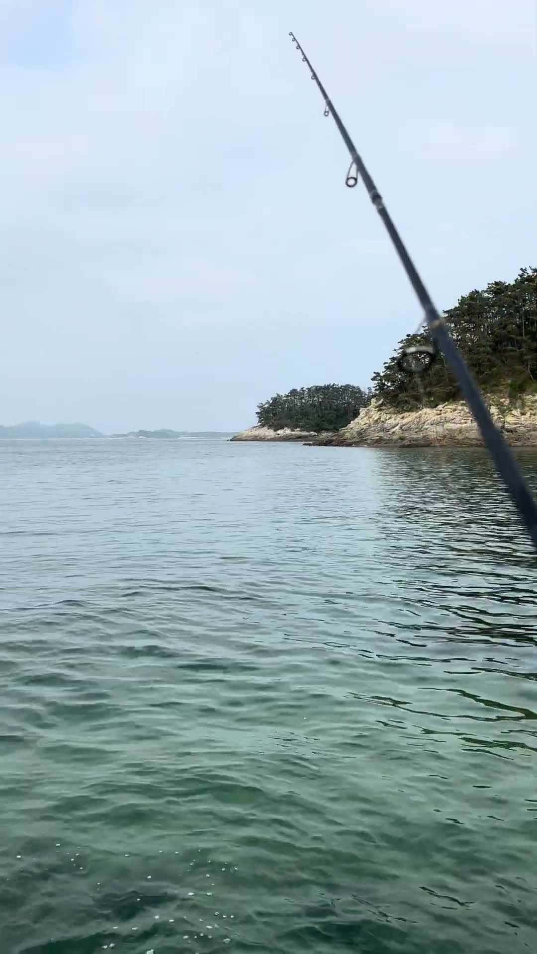 Today its was a fail 😢#낙씨 #fish #fishing #beach #travel - YouTube