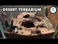 Desert Terrarium Build / Design for Scorpion Video