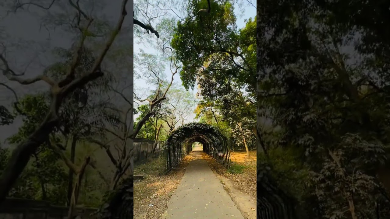 Botanical Garden Is To much peaceful place  In Dhaka.