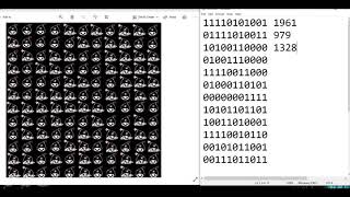 Wild Bombinos Crypto Puzzle Solution