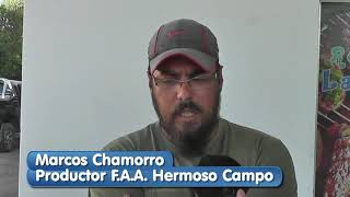 Marcos Chamorro - Productor de Hermoso Campo