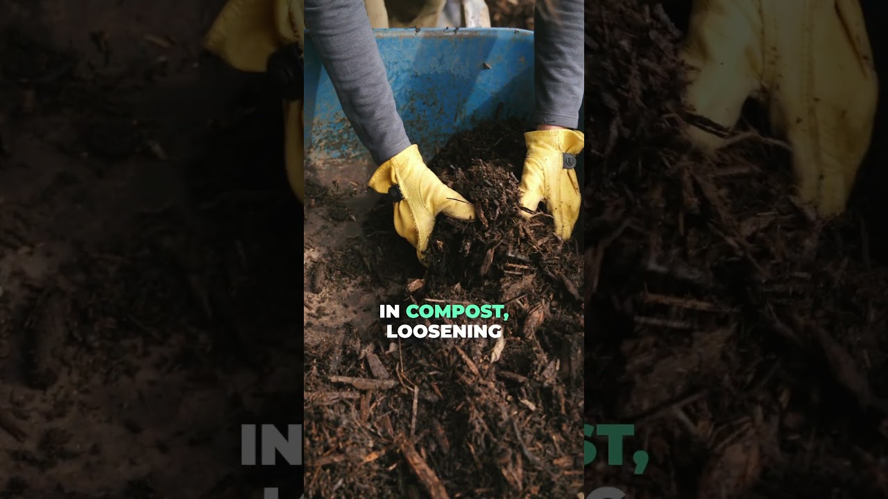 Don’t Plant Until You Fix This (April Gardening Mistake)