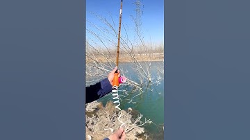 4 Lý Do Ốp Silicon Cần Câu Tay Là Sự Lựa Chọn HÀNG ĐẦU 2025 #shorts #fishing