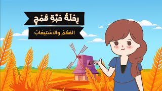 رحلة حبة قمح ( الفهم والاستيعاب ، أنمي لغتي ) - لغتي - الصف الثاني الابتدائي - الفصل الدراسي الثاني