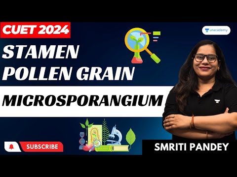 Microsporangium | Biology | CUET 2024 | Smriti Pandey #cuet2024 #biology