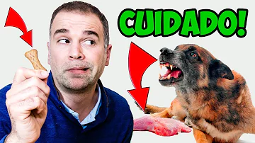 ¿Hay que tocar a un perro cuando come?