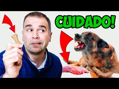 Video: Perro dejó de comer pero protege el tazón de comida por gruñir