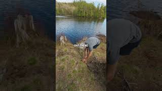 Infinite Fish Glitch