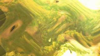 Milieu - Sieve