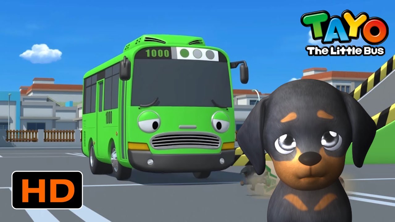 Tayo Español Episodios para niños l Rogi y el cachorro perdido l Tayo El Pequeño Autobús