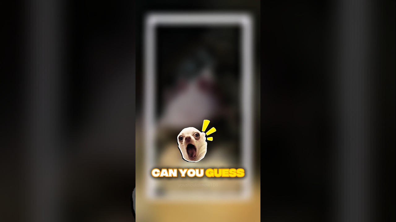 Did you Guess it?😎😎🔥💯 