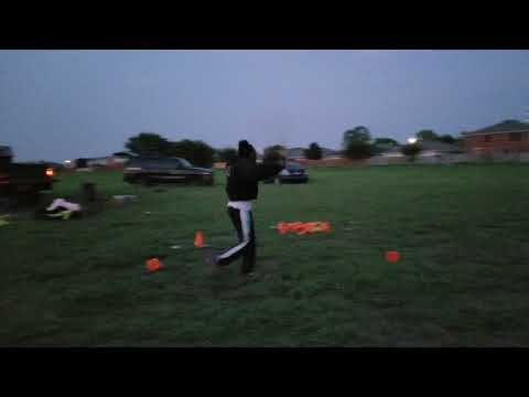 Protection Dog DESTROYS the Decoy