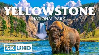 Yellowstone National Park 4K | Discover America’s Untouched Wilderness & Natural Wonders