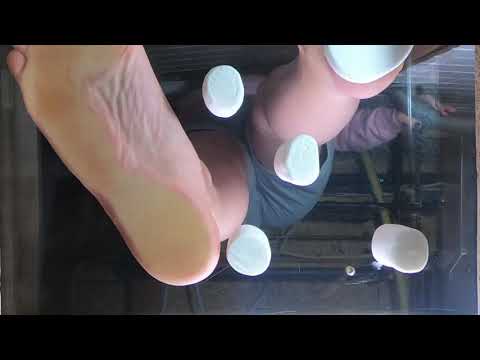 ASMR marshmallow glass table crush