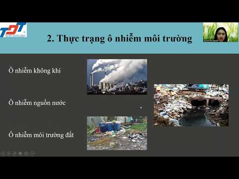 Tầm Quan Trọng Của Việc Bảo Vệ Môi Trường - TẦM QUAN TRỌNG CỦA VIỆC BẢO VỆ MÔI TRƯỜNG