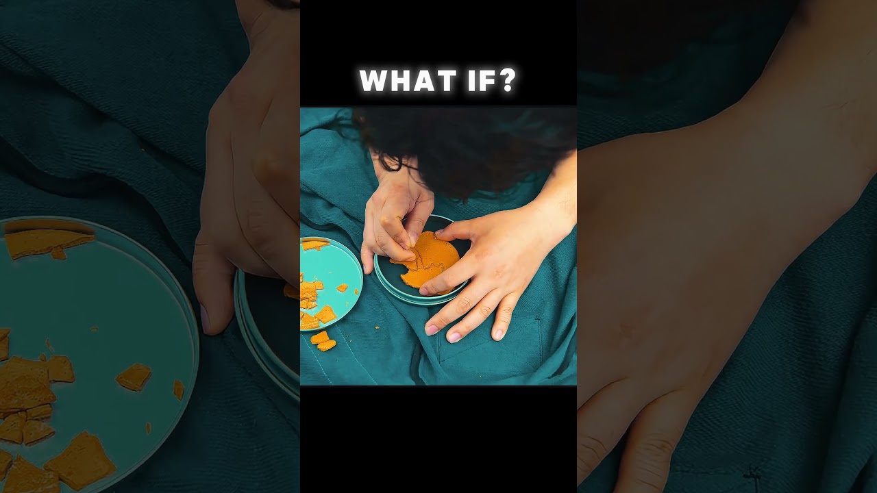 WHAT IF "Gi-Hun in Umbrella GAME" 💀 | Squid Game S1 E3 