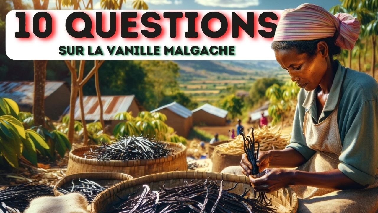 🇲🇬 La Vanille de Madagascar : Ambition douce, Réalité Amère