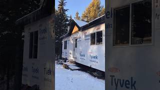 Progress On My Off Grid Cabin In The Woods