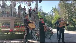 PELEA DE GALLOS  Mariachi Real Mexicanísimo