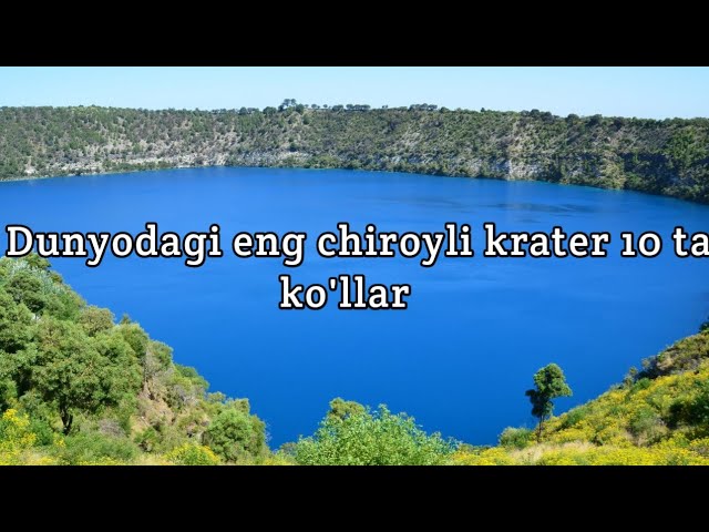 Penzada fohishani qayerdan topish mumkin