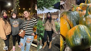 Pumpkin Patch 2021| corn maze fun