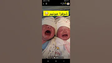 بكاء أطفال توأم بكاء الأطفال حديثي الولادة 